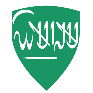 db_salem_db's emblem
