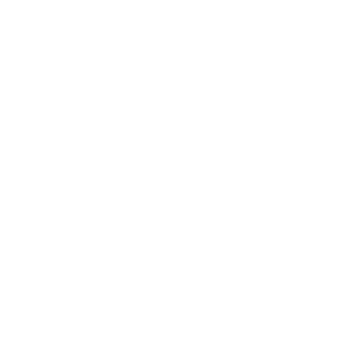 SL2016x's emblem