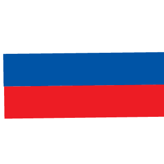 Starshina45's emblem