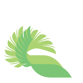 iOota's emblem