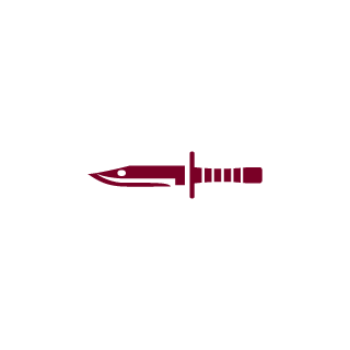 Niros1244's emblem