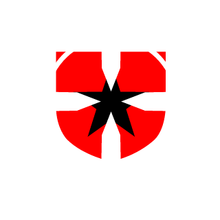 Artem500100's emblem