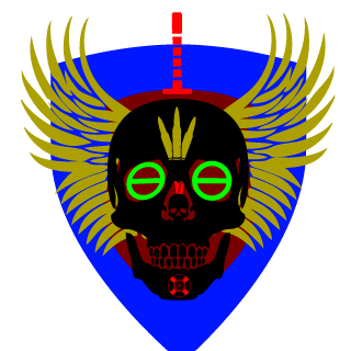 insaneraymaster's emblem