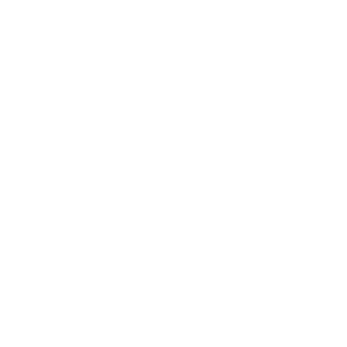 v4ctory's emblem