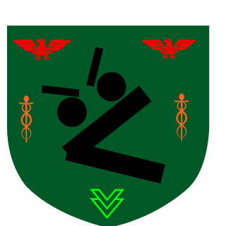 cayosi11's emblem