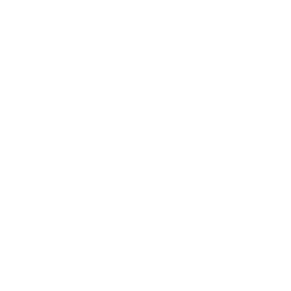 SEFODE_NA_12's emblem