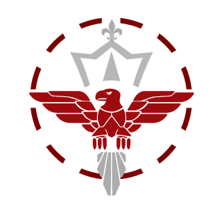 SalvatruchiOJ's emblem