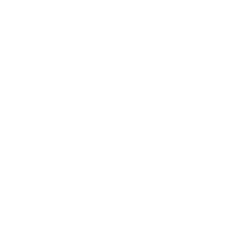 15ATM's emblem