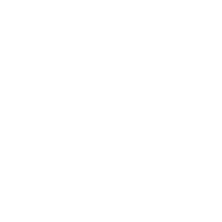 AssA1091's emblem