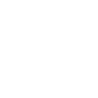 GalileoVirus's emblem