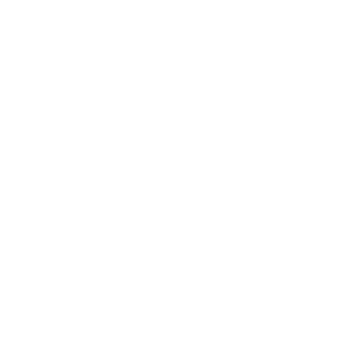 ninjaayer325's emblem