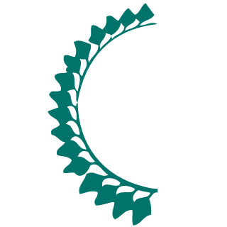 Dasramz's emblem