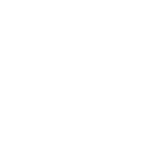 RIDER1894's emblem