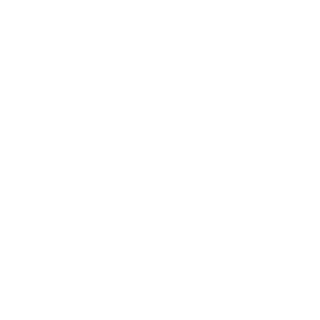 Lefyy's emblem