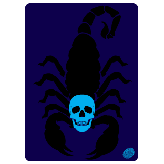 xTEIMOSO's emblem