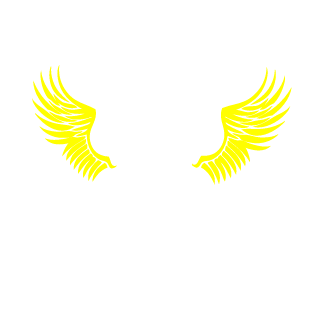 BlAcKaRrOw9900's emblem