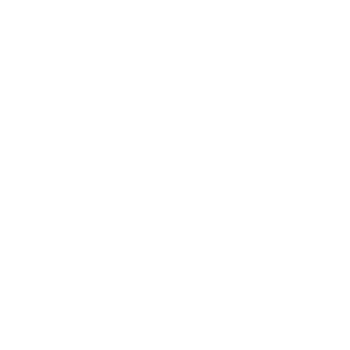 youfightlikeelgi's emblem