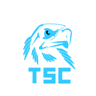 The Shadow Conspiracy's emblem