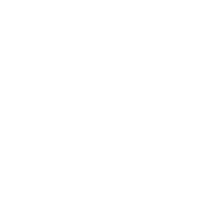 MSWSylwester's emblem