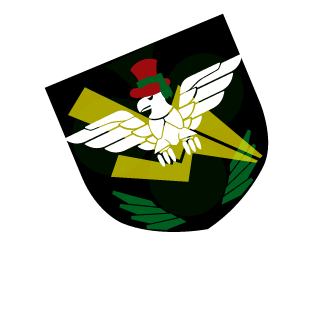d0inw311's emblem