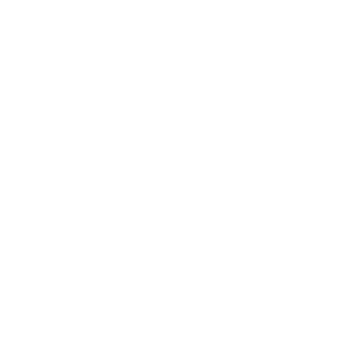 NoOrm's emblem