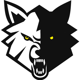 1Archerr1's emblem