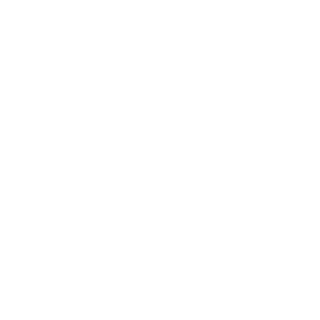 Lewandowskii's emblem