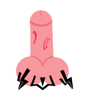 Berx7's emblem