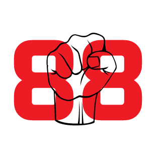 StevieWonderAim1's emblem