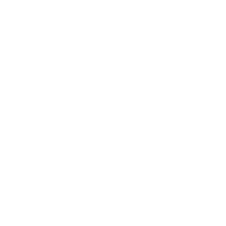 Icarusintel's emblem