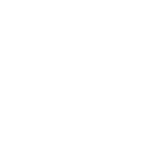 3nzephalit's emblem