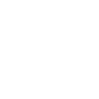 YDC-Elvin's emblem