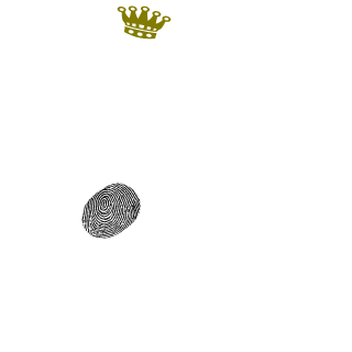 timka_aka228's emblem