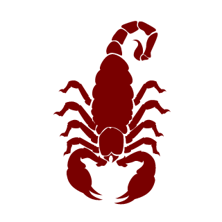 rodrigammer's emblem