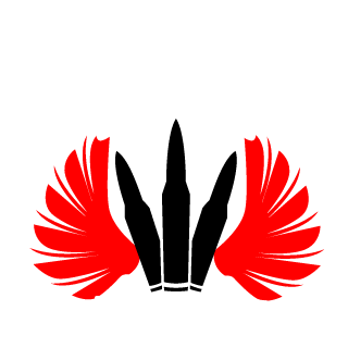 najlepsi2014's emblem