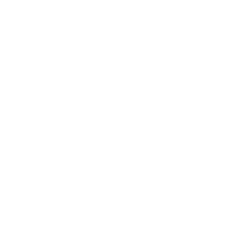 371f03b338959b58's emblem