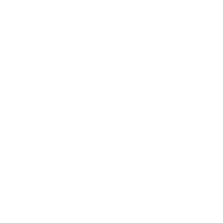 Wiifan's emblem