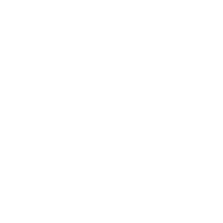 JdanV48's emblem