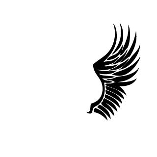 N-Emperor-N's emblem
