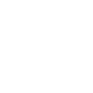 KINGJAMESSSSSSS's emblem