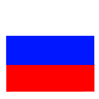 Russia13spb's emblem