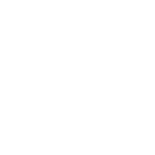 NO113's emblem