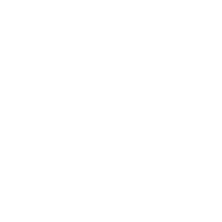 p53ud0c0d3's emblem