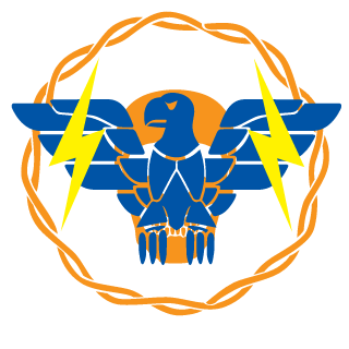 Armor307's emblem