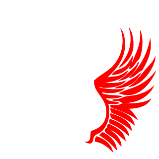 CzarnaHiena's emblem
