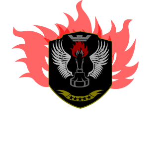 lucasqdf18's emblem