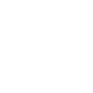 Naicron26's emblem