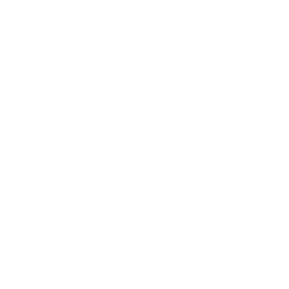 Belyy11's emblem