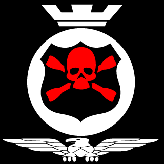NaS Dmd's emblem