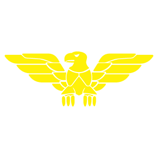 RandomDittoGuy's emblem